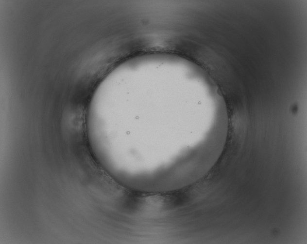 X0000115820423200912241939