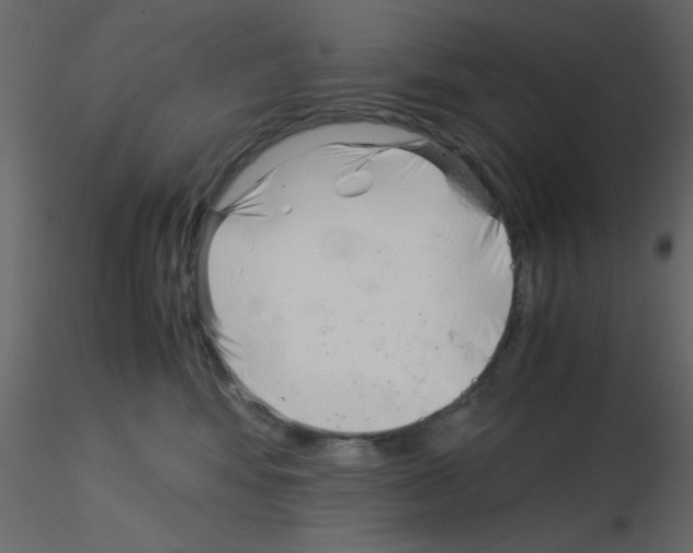 X0000115820424200912241939