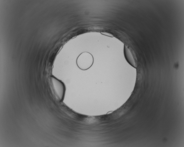 X0000115820425200912241939