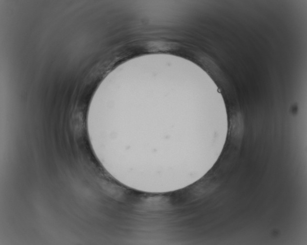 X0000115820426200912241939