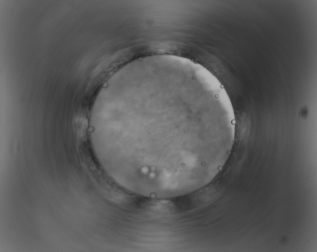 X0000115820427200912241939