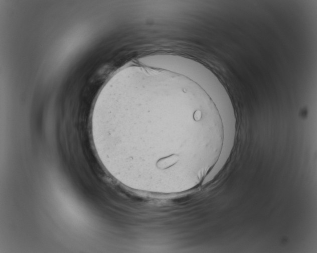 X0000115820429200912241939