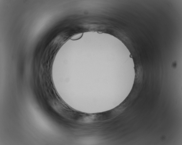 X0000115820430200912241939