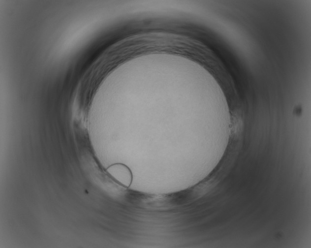 X0000115820431200912241939