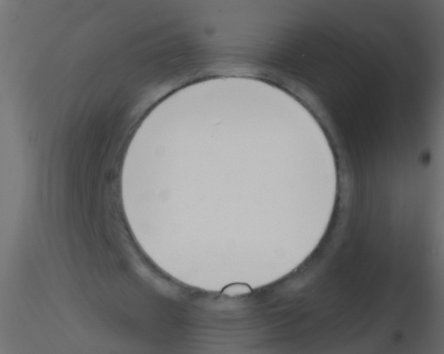 X0000115820433200912241938