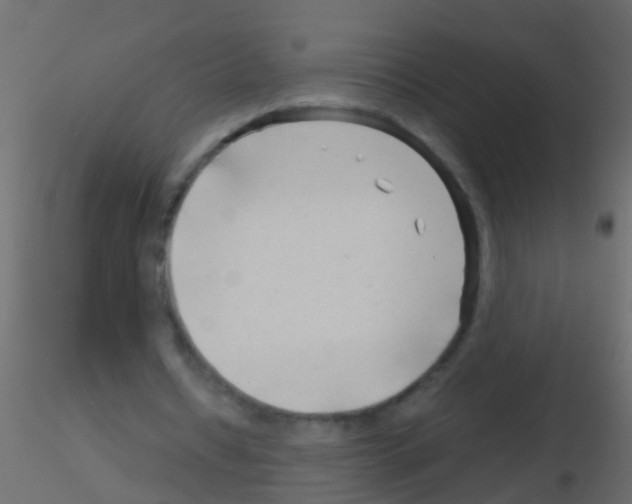 X0000115820434200912241938