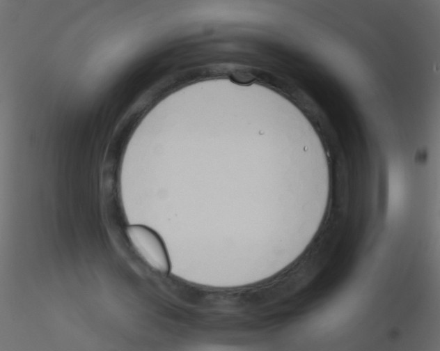 X0000115820435200912241938