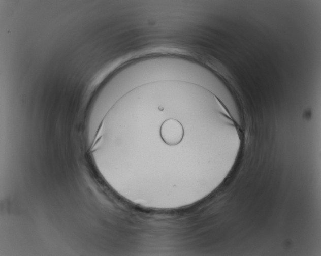 X0000115820436200912241938