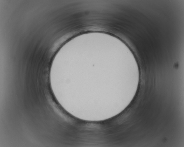 X0000115820437200912241938