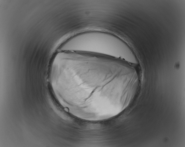 X0000115820438200912241938