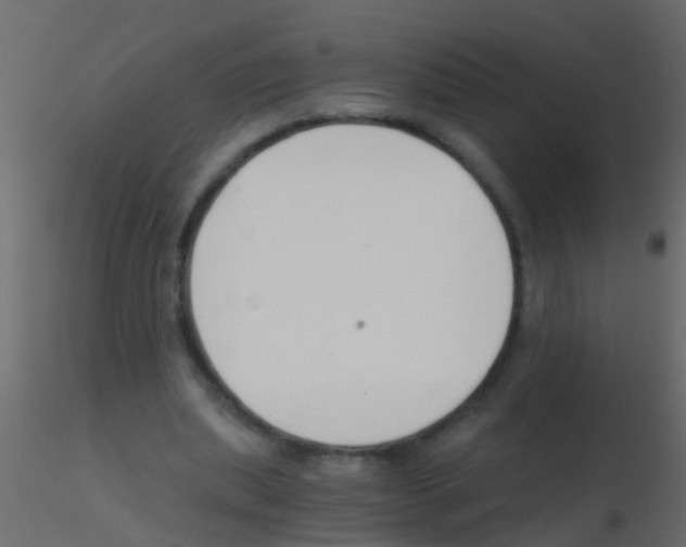 X0000115820439200912241938