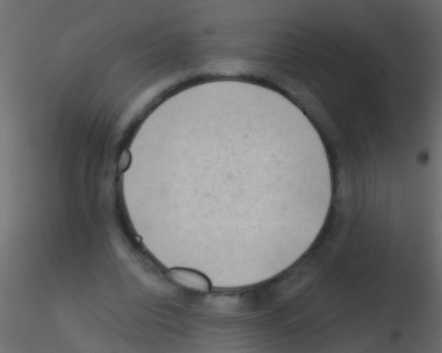 X0000115820440200912241938