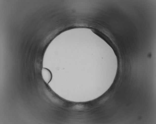 X0000115820441200912241938