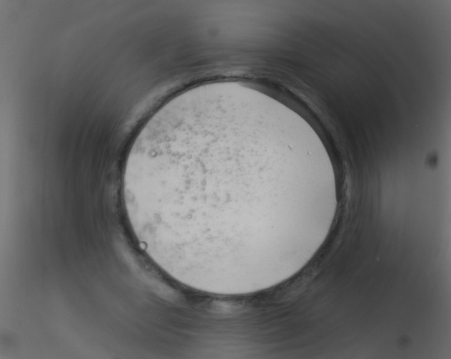 X0000115820442200912241938