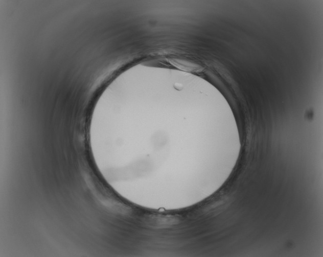 X0000115820443200912241938