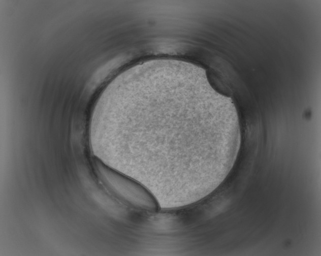 X0000115820444200912241938