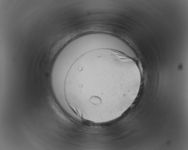 X0000115820445200912241938