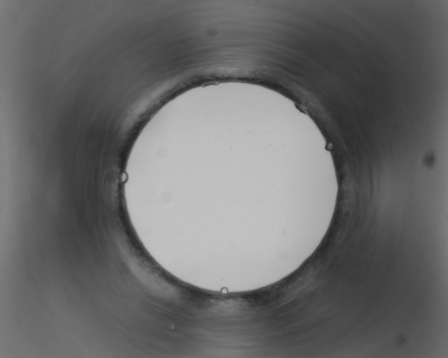 X0000115820446200912241938