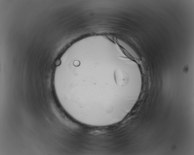 X0000115820447200912241938