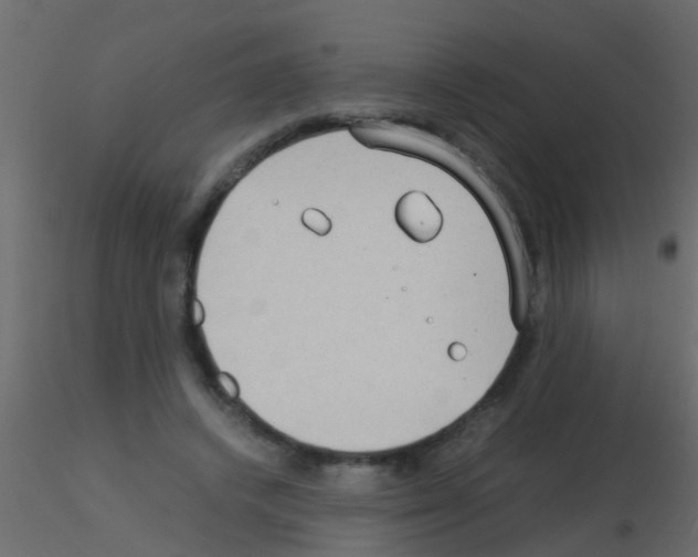 X0000115820448200912241938