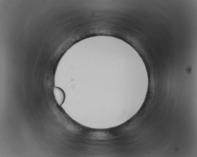 X0000115820449200912241938