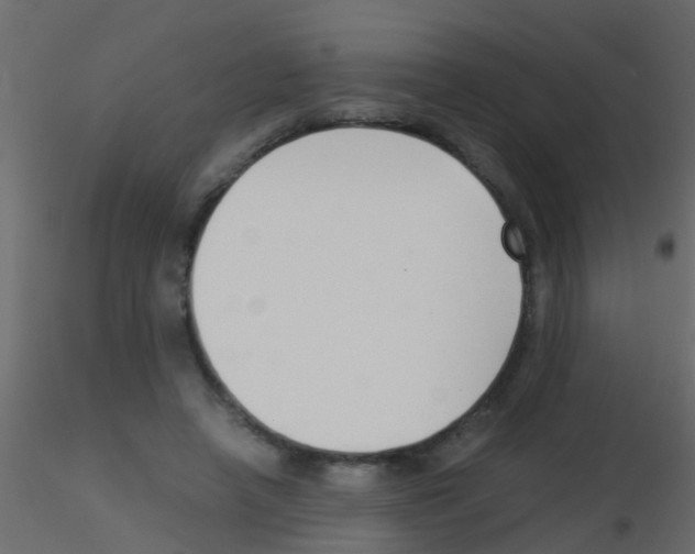 X0000115820450200912241938