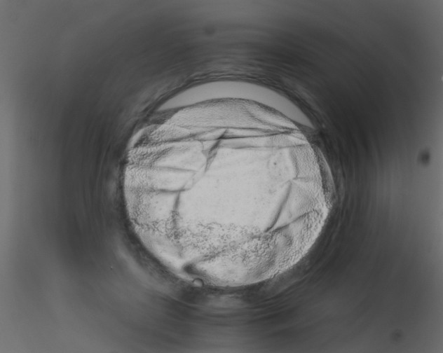 X0000115820451200912241938