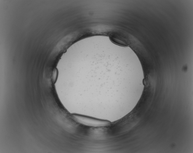 X0000115820452200912241938