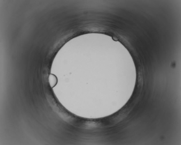 X0000115820453200912241938