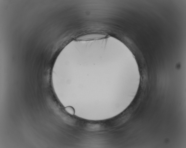 X0000115820454200912241938