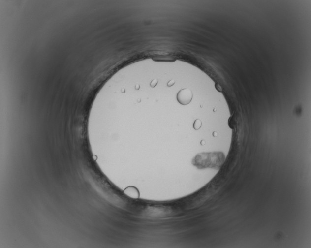 X0000115820455200912241938