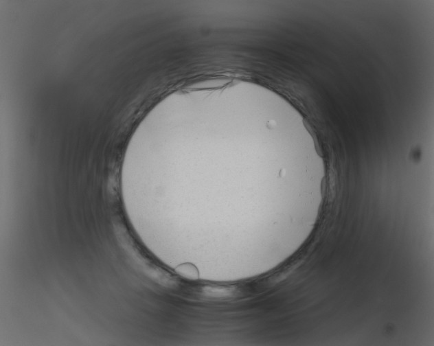 X0000115820457200912241938