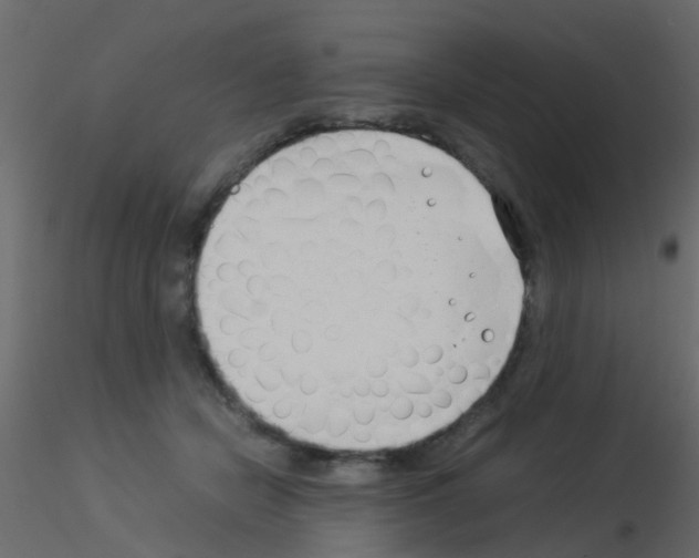 X0000115820462200912241938