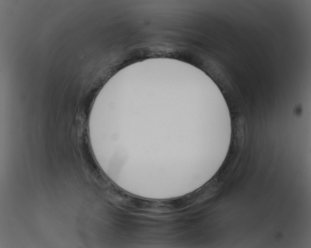 X0000115820463200912241938