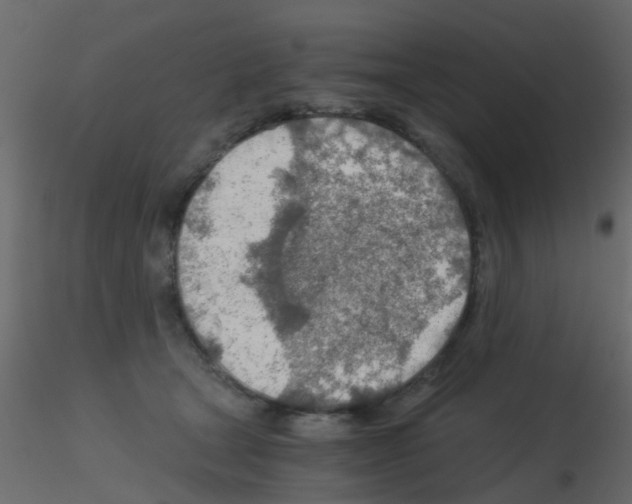 X0000115820465200912241938