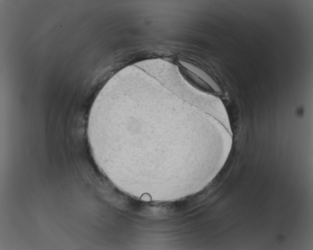 X0000115820466200912241938