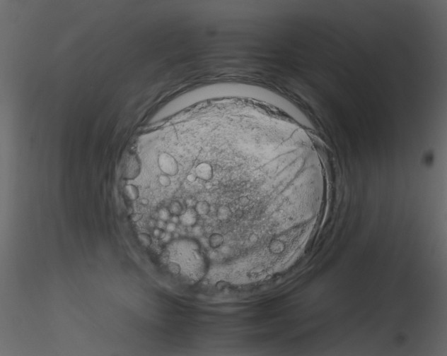 X0000115820467200912241939