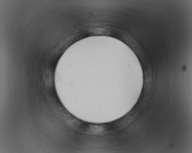 X0000115820469200912241939