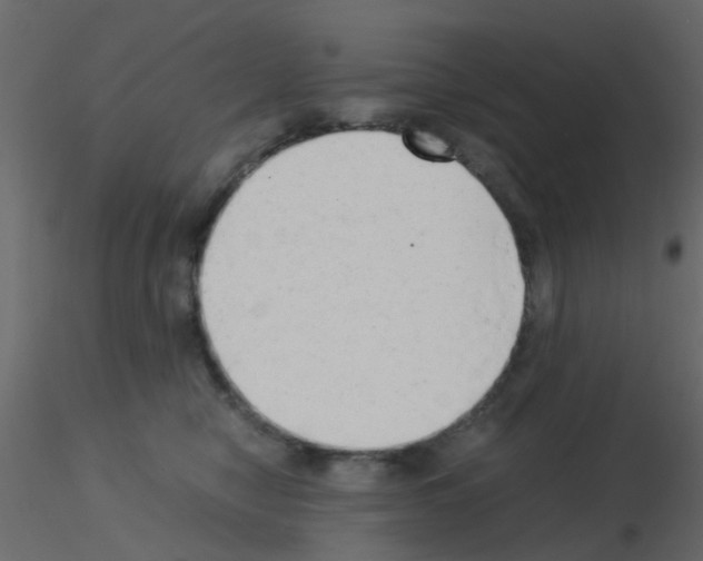 X0000115820470200912241939