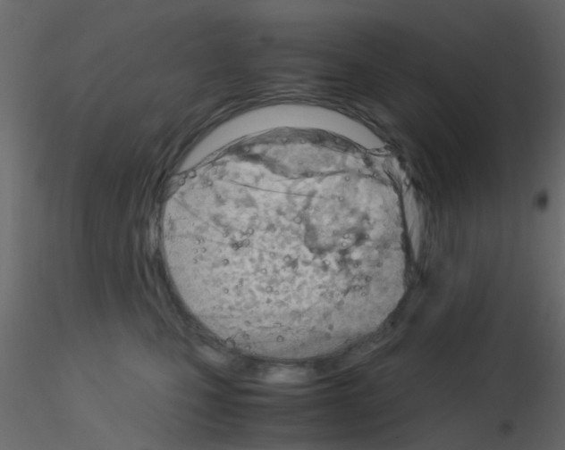 X0000115820471200912241939