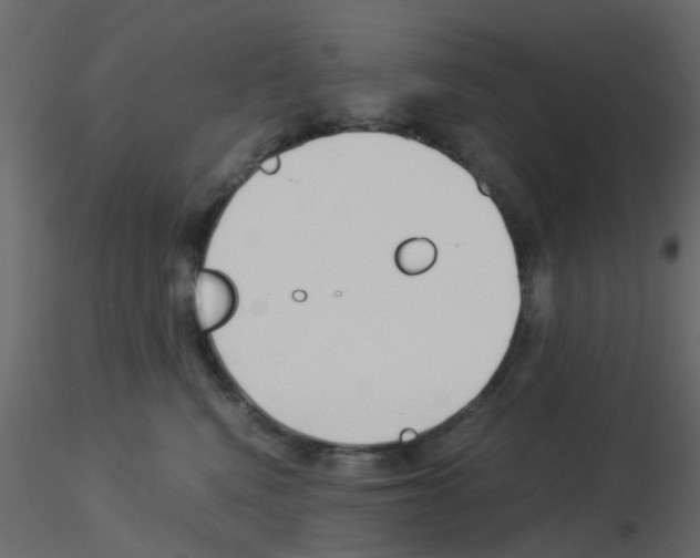 X0000115820472200912241939