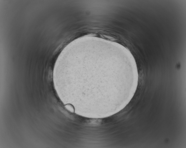 X0000115820474200912241939