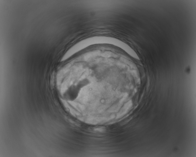 X0000115820475200912241939