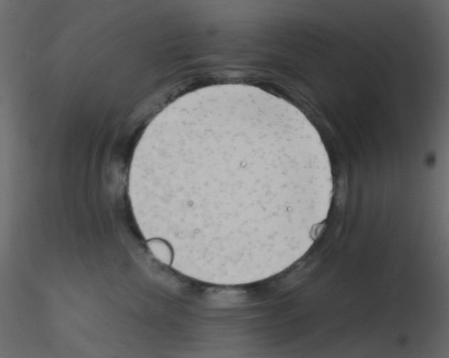 X0000115820476200912241939