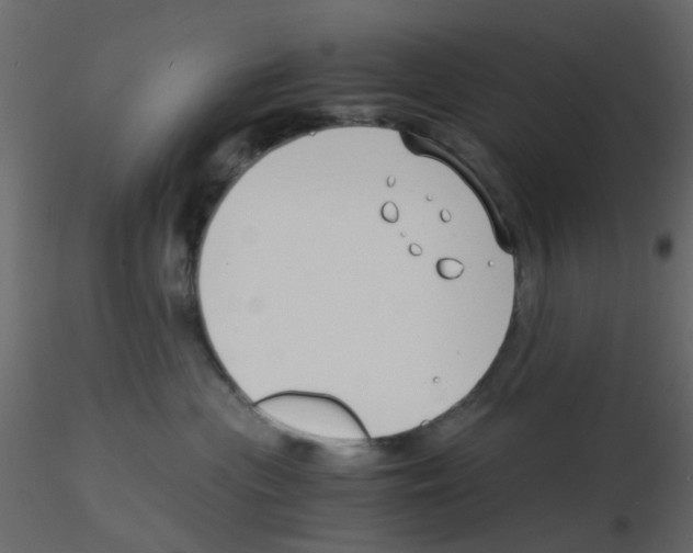 X0000115820477200912241939