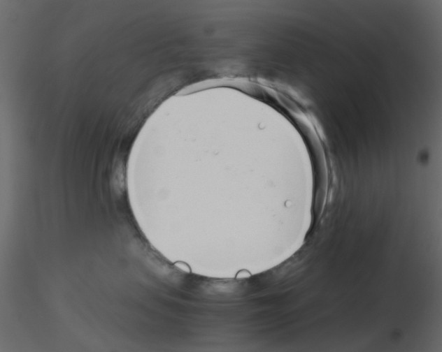 X0000115820479200912241939