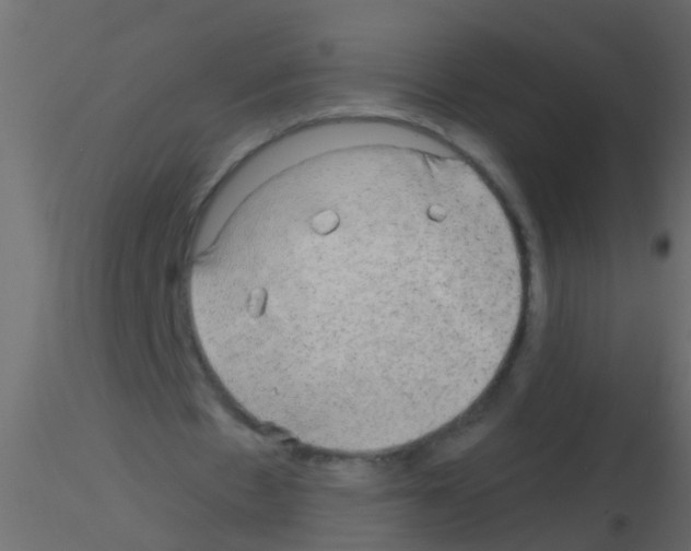 X0000115820481200912241938