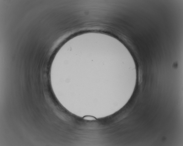 X0000115820483200912241938