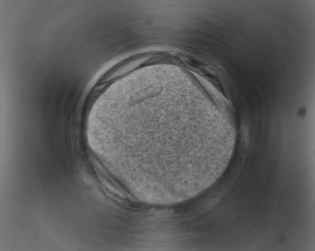 X0000115820484200912241938