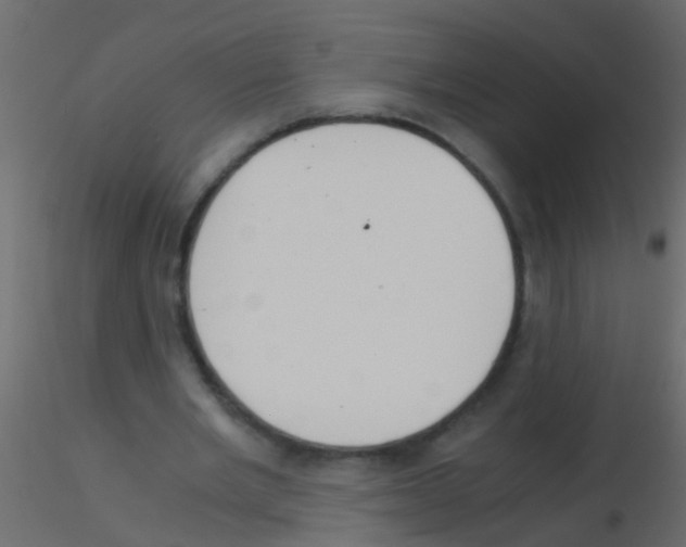 X0000115820485200912241938